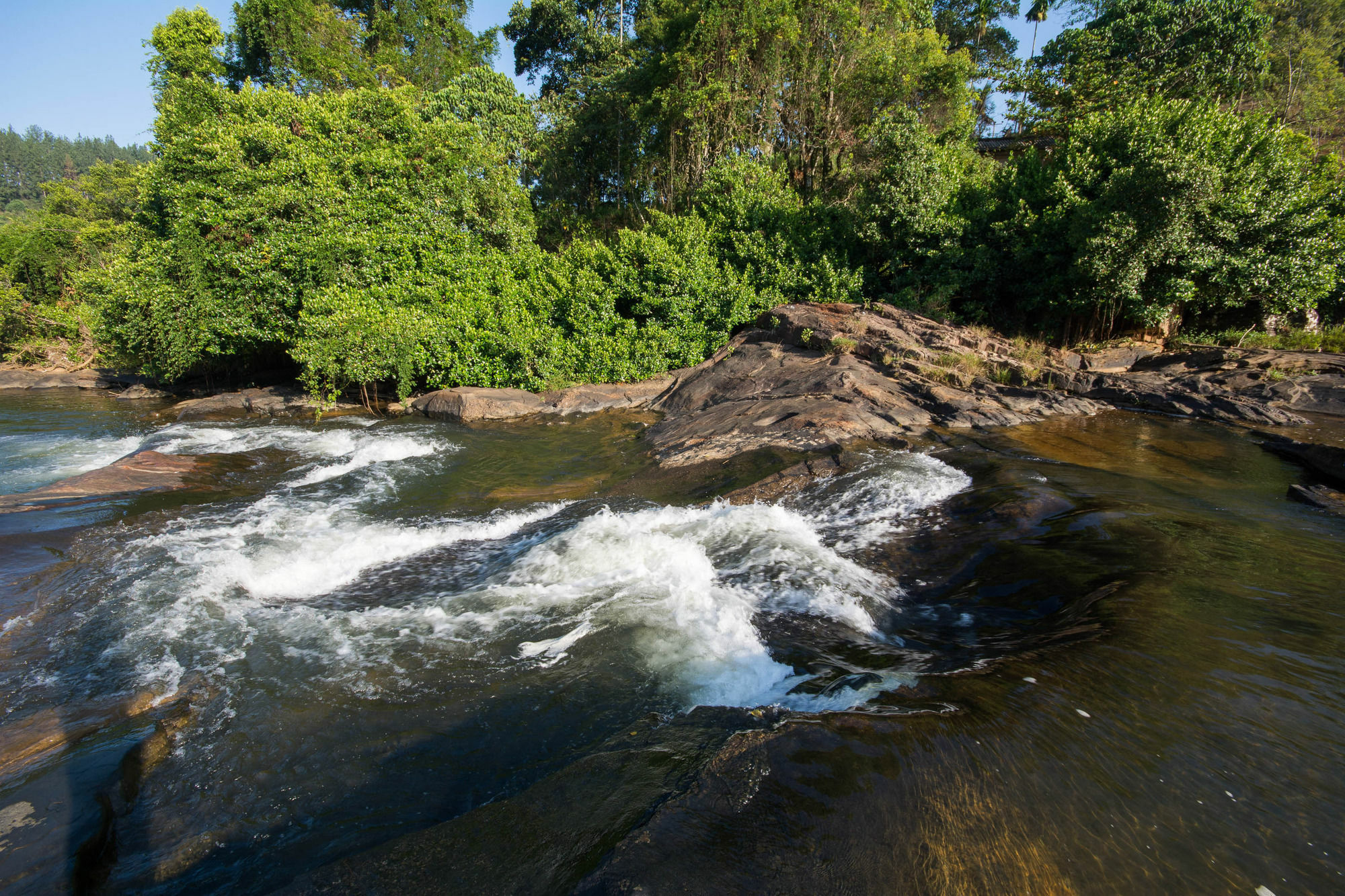 Okwin Resort Kandy Esterno foto
